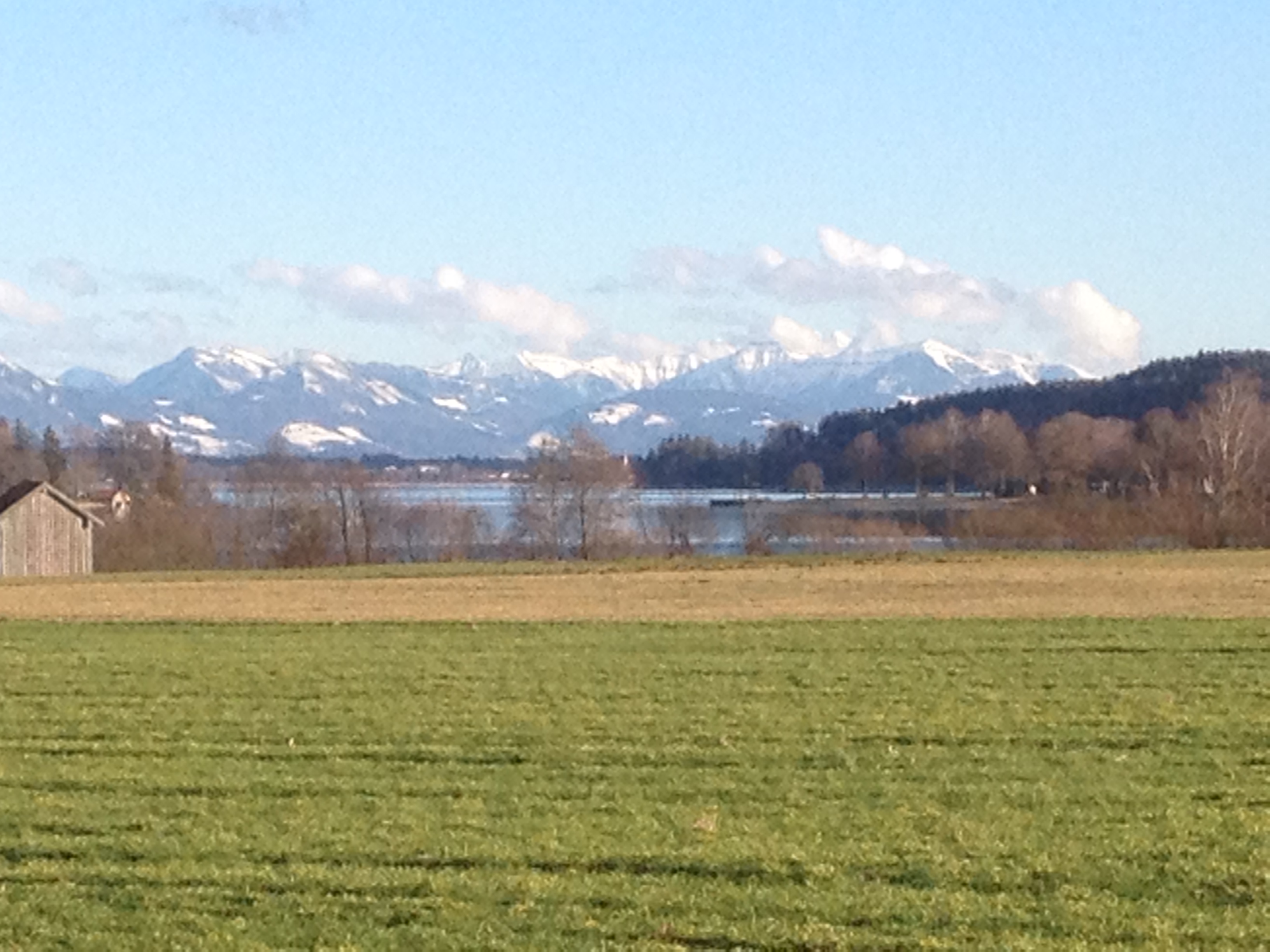 Seeblick von der Terrasse